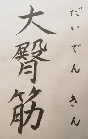 大臀筋