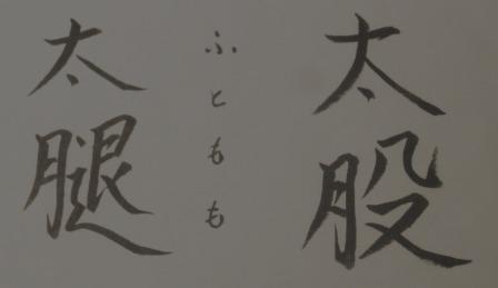 太股・太腿