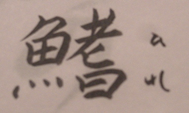 鰭