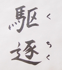 駆逐