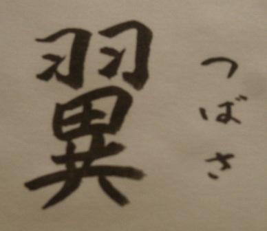翼